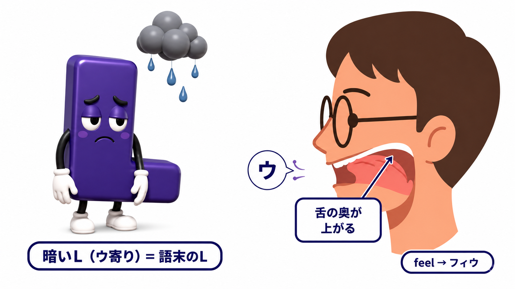 暗いL（語末）のイメージ：feel の語末の L で、舌の奥（舌背）が口の奥の軟口蓋へ持ち上がり、ウ寄りの暗い響きが乗っている様子