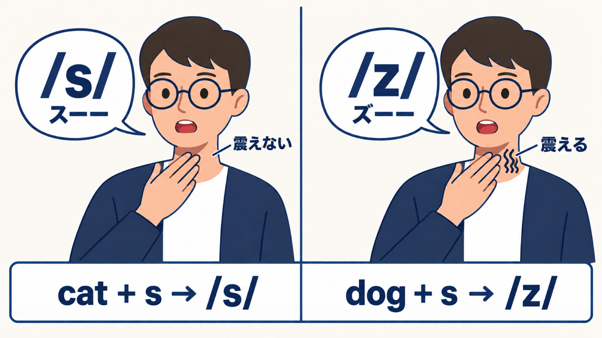 キャラクターが喉に手を当てて音を出している2コマ。左は /s/（スー）で喉は震えない、右は /z/（ズー）で喉が震える。下に cat + s → /s/、dog + s → /z/ の対応